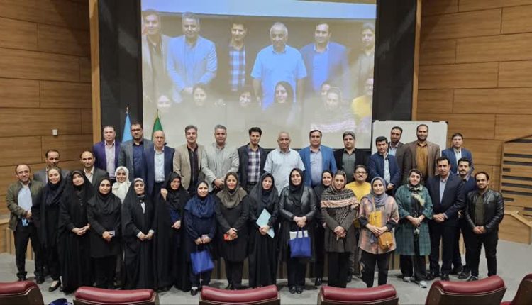 سلامت روانی نسل z با تاکید بر آسیب پذیری و تاب آوری