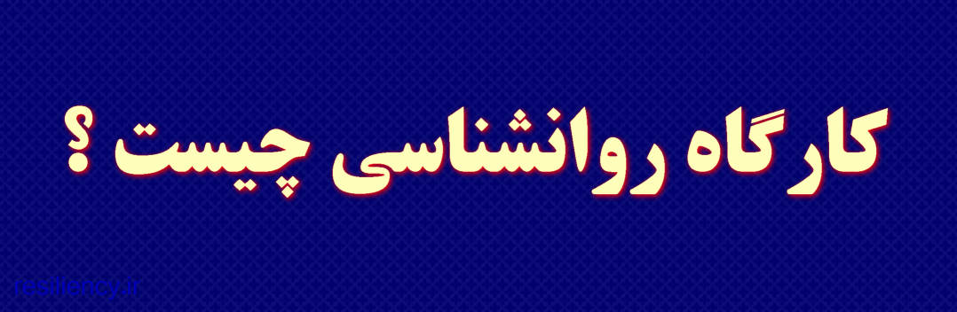 کارگاه روانشناسی یک جلسه تخصصی است که در آن یک متخصص در یک زمینه خاص تجربیات و دانش خود را با دانشجویان، روانشناسان و درمانگران به اشتراک می گذارد تا مهارت ها و توانایی های خود را در برخورد موثر با بیماران افزایش دهد.