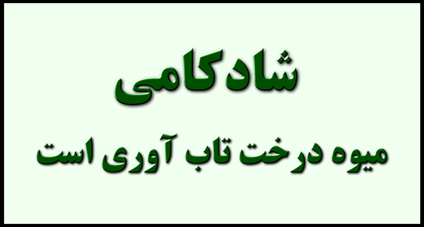 شادکامی میوه درخت تاب آوری است تاب آوری مزرعه شادی است تاب آوری امکان ظهور شادی را فراهم میکند شادکامی به احساس رضایت و خوشبختی اشاره دارد.