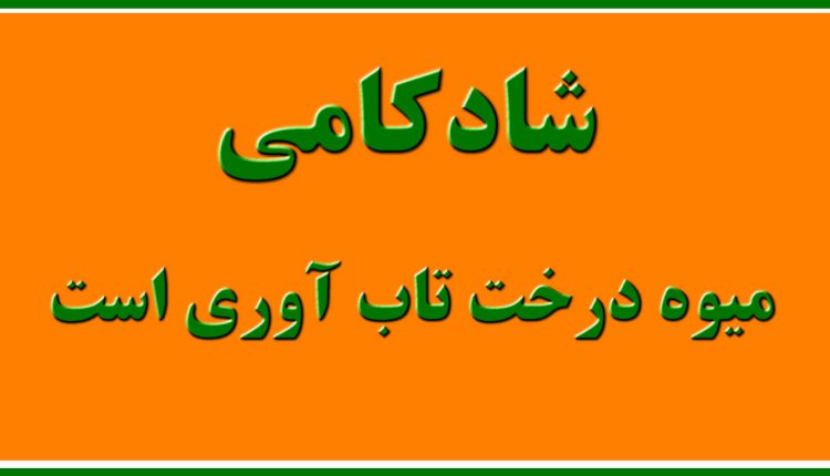 شادکامی میوه درخت تاب آوری است تاب آوری امکان ظهور شادی را فراهم میکند شادکامی یک مفهوم روانشناختی است که به احساس رضایت و خوشبختی درونی اشاره دارد.