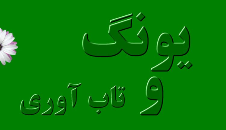یونگ و مفهوم تاب‌آوری، هر دو به بررسی ظرفیت‌های درونی انسان برای رشد و تحول می‌پردازند. با درک بهتر این مفاهیم و به کارگیری آن‌ها در زندگی روزمره، می‌توان به افزایش سلامت روان و بهبود کیفیت زندگی دست یافت.