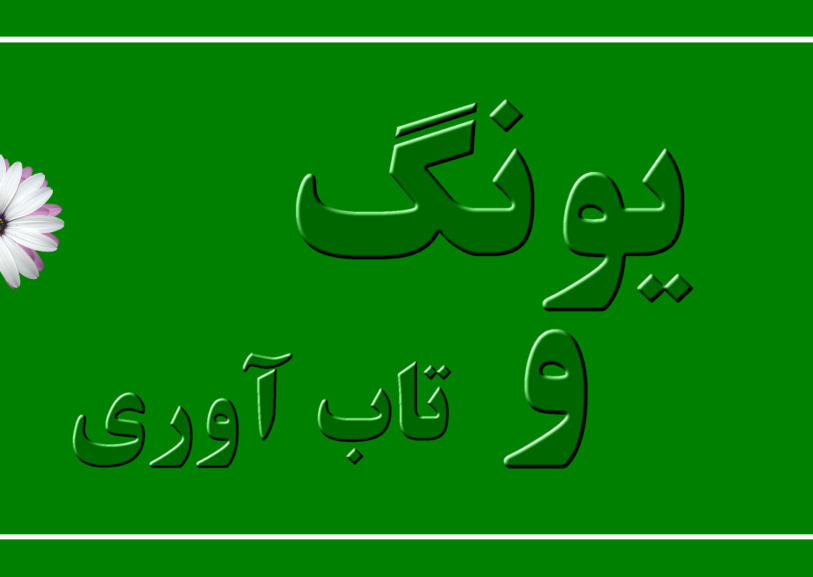 یونگ و مفهوم تاب‌آوری، هر دو به بررسی ظرفیت‌های درونی انسان برای رشد و تحول می‌پردازند. با درک بهتر این مفاهیم و به کارگیری آن‌ها در زندگی روزمره، می‌توان به افزایش سلامت روان و بهبود کیفیت زندگی دست یافت.