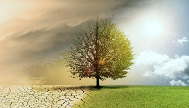 رشد پس از سانحه و تاب آوری