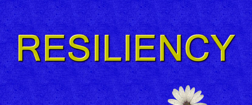 تاب آوری سازمانهای مالی