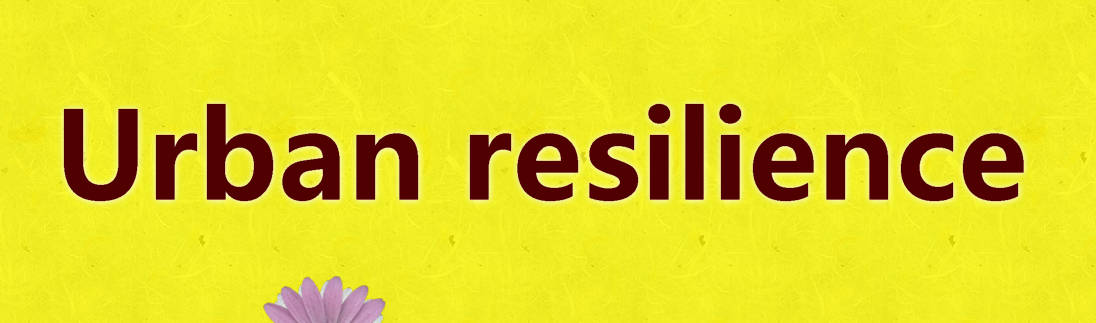 تاب‌آوری شهری