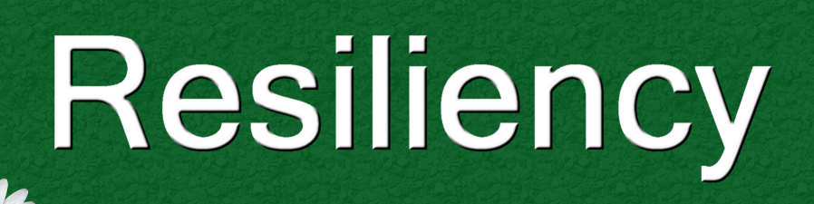 ادبیات پایداری و تاب‌آوری