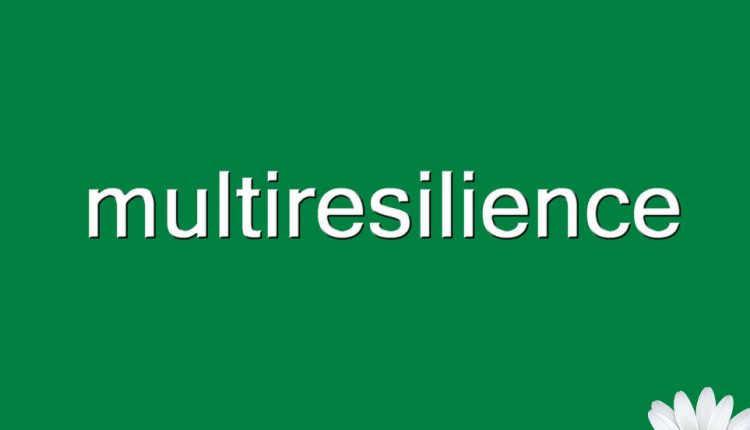 multiresilience