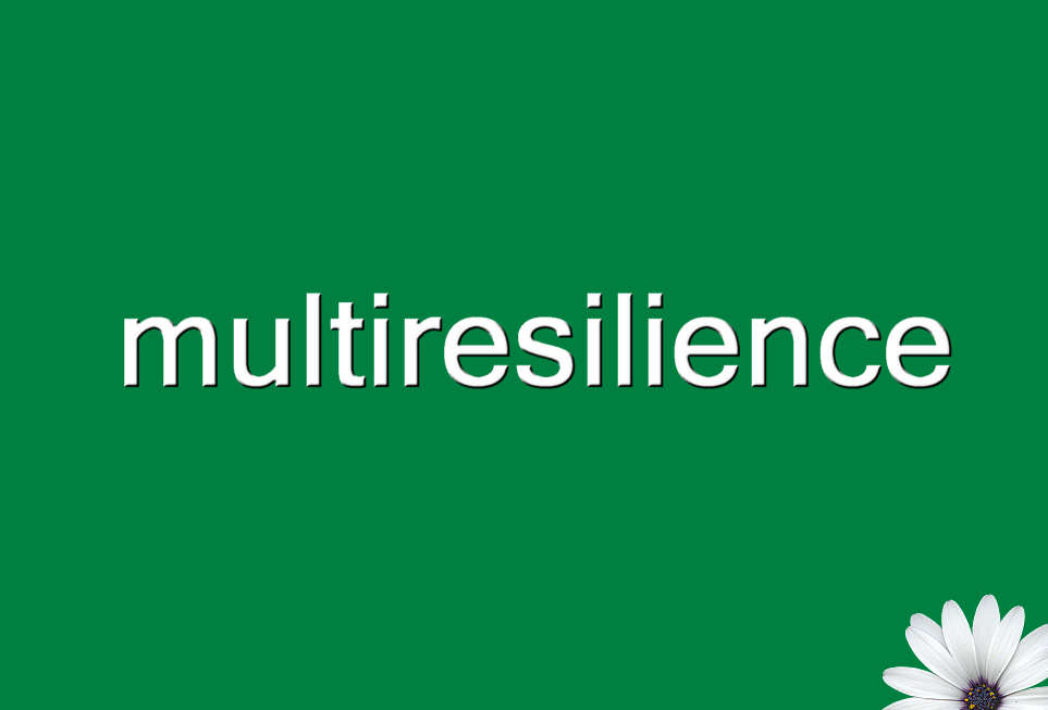 multiresilience
