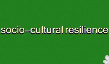 socio-cultural resilience تاب آوری فرهنگی اجتماعی
