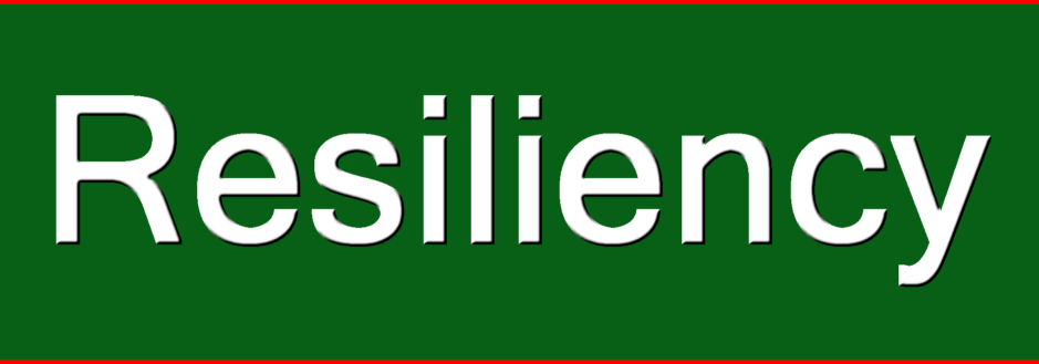 سواد انرژی و تابآوری