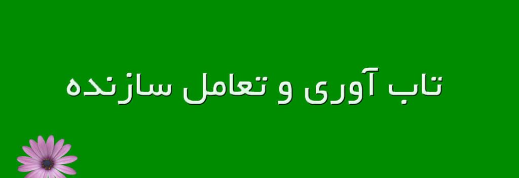 تاب آوری و تعامل سازنده