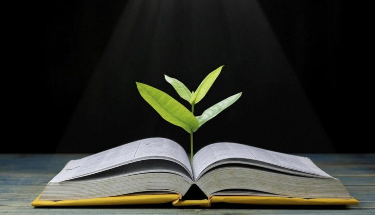 سرمایه‌گذاری در تاب‌آوری از طریق کتاب