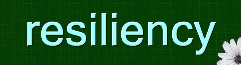 تاب‌آوری رسانه ریشه در ساختار و مدیریت دارد