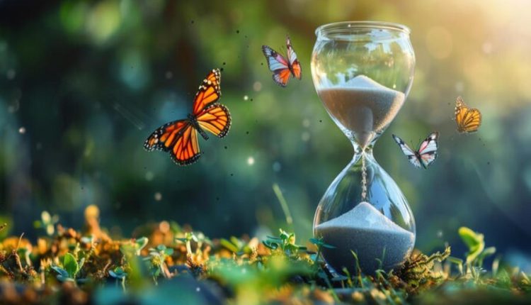 تاب‌آوری و شکیبایی
