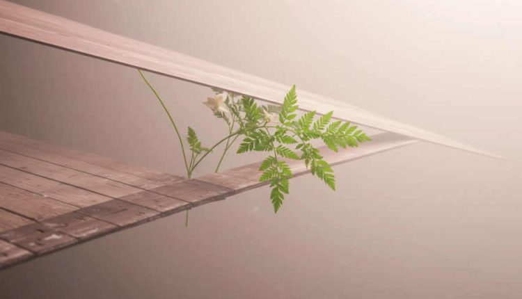 کسری تاب‌آوری (Resilience Deficit)