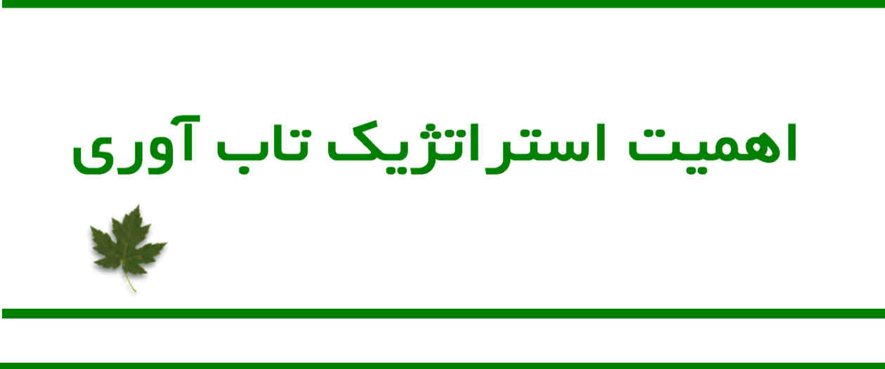 اهمیت استراتژیک تاب‌آوری