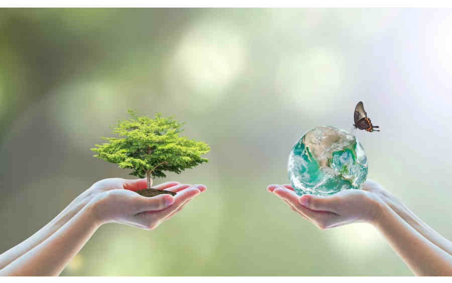 یادگیری برای ماندگاری؛ آموزش تاب‌آوری