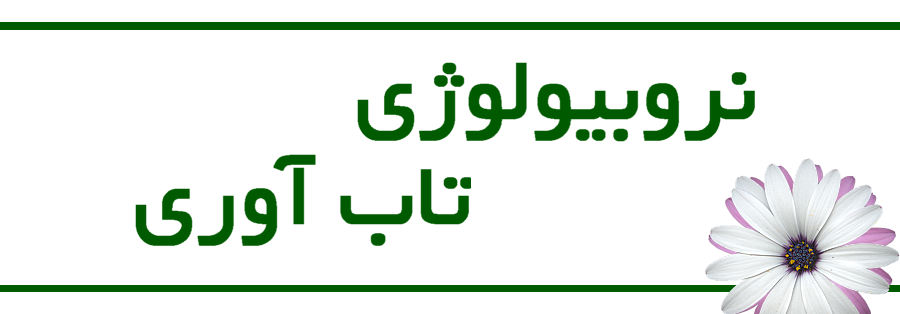 نروبیولوژی تاب‌آوری: از سازوکارهای مولکولی تا پیامدهای بالینی و اجتماعی