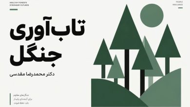 تاب‌آوری جنگل