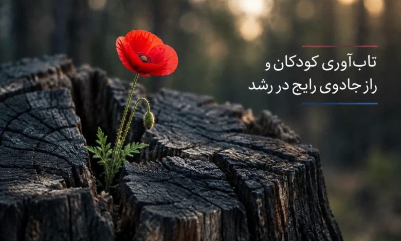 تاب‌آوری کودکان و راز جادوی رایج در رشد